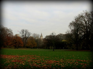 A view of Big Ben from St. James's Park.