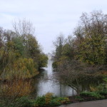 A lake in St. James's Park.