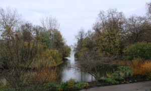A lake in St. James's Park.