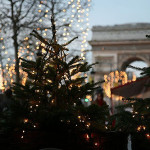 A tree with lights.