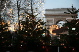 A tree with lights.